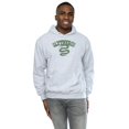 thumbnail image 2 of Harry Potter Mens Slytherin Sport Emblem Hoodie, 2 of 5