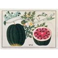 thumbnail image 3 of Anonymous 18x14 Black Modern Framed Museum Art Print Titled - Watermelon, 3 of 5
