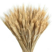 100x Artificial Autumn Wheat Flower Bouquets Flower Scrapbook Dried Wheat Decors for Home Decor, Wedding, Party, Patio