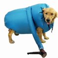 thumbnail image 1 of Pet dog hair blowing cats bath dryer blow dry clothes, 1 of 2