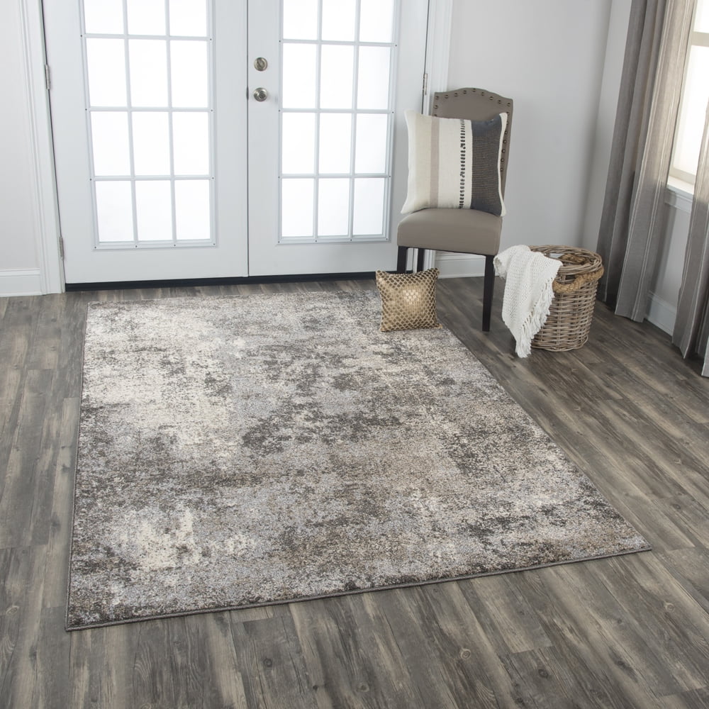 Rizzy Rugs Valencia Area Rug VCA109 Silver Worn Faded 3' 11" x 5' 6" Rectangle
