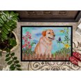 thumbnail image 3 of Carolines Treasures CK1276JMAT Labrador Retriever Spring Indoor or Outdoor Mat - 24 x 36 in., 3 of 4