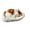 D, variant on Realistic Cat|Realistic Cat, Interactive Sleeping & Breathing Toy with Mat, Accompanied Furry Stuffed Animals for Kids, Adults(D)