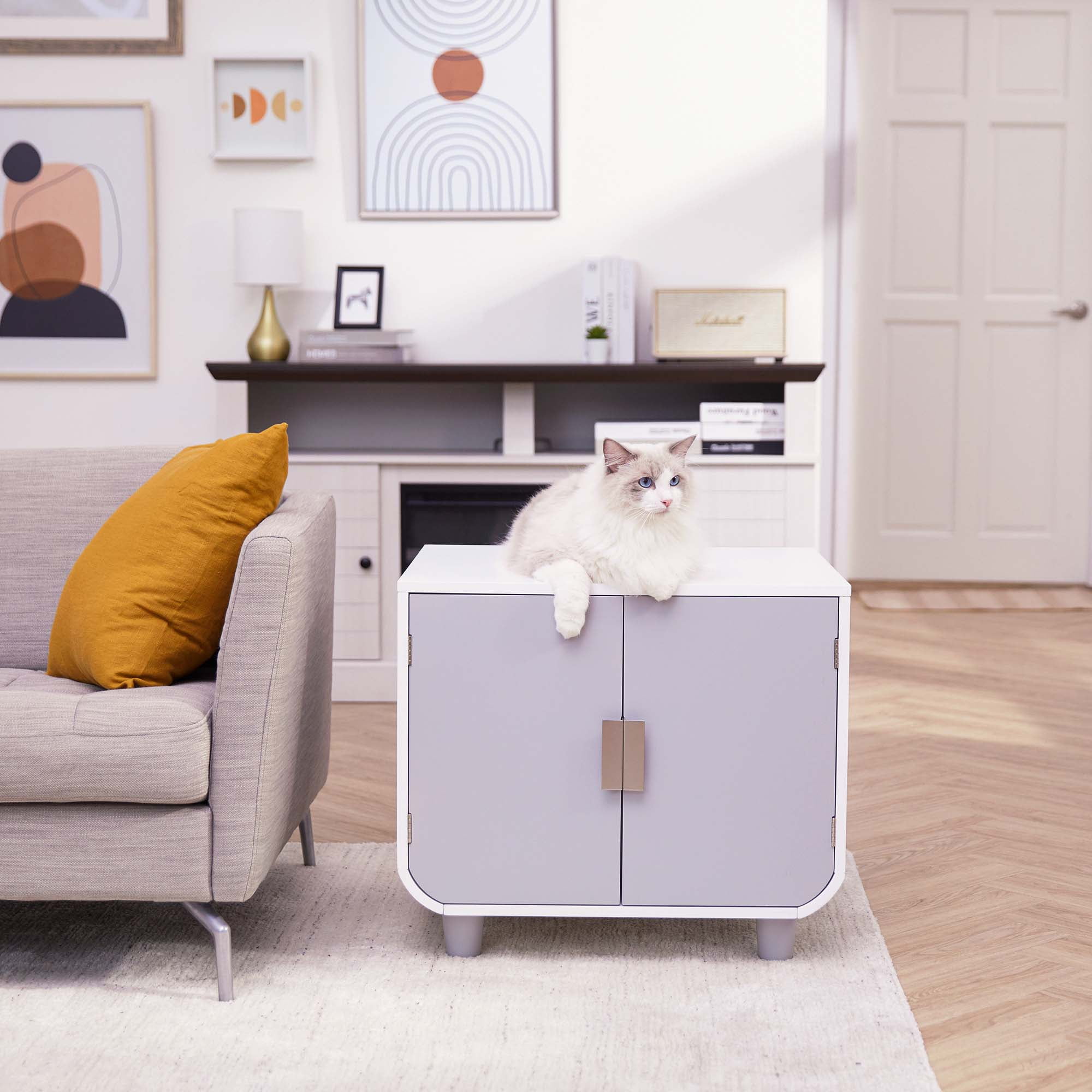 Teamson Pets Dyad Wooden Cat Litter Box, Alpine White