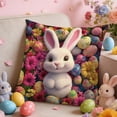thumbnail image 7 of Throw Pillow Covers 18x18, Easter Decorations Pillow Cases with Bunny Patterns, Spring Decor for Bedroom Couch Cushion Cover, Multicolor, 7 of 7