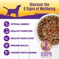 thumbnail image 3 of Wellness Complete Health Stew Adult Canned Wet Dog Food, Grain Free, Natural, Beef Recipe, 12.5 oz, Pack of 12 Cans, 3 of 7