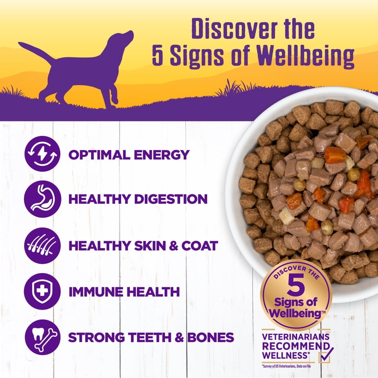 wet dog food for cats Premium Quality Chicken & Beef Wet Cat Food
