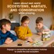thumbnail image 4 of Juego de cartas Genius Games Ecosystem: Savanna Educational Kids, 4 of 7