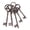 5 Keys, variant on Vintage Cast Iron Decorative Skeleton Keys - Set of 3 Rustic Farmhouse Wall Art,Antique Brown Hanging Key Set for Garden, Home Wall Display