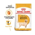 thumbnail image 2 of Alimento Seco para Perro Adulto Raza Golden Retriver 13.6 Kg Royal Canin Alimento Croquetas para Perro, 2 of 2