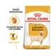 thumbnail image 2 of Alimento Seco para Perro Adulto Raza Golden Retriver 13.6 Kg Royal Canin Alimento Croquetas para Perro, 2 of 2