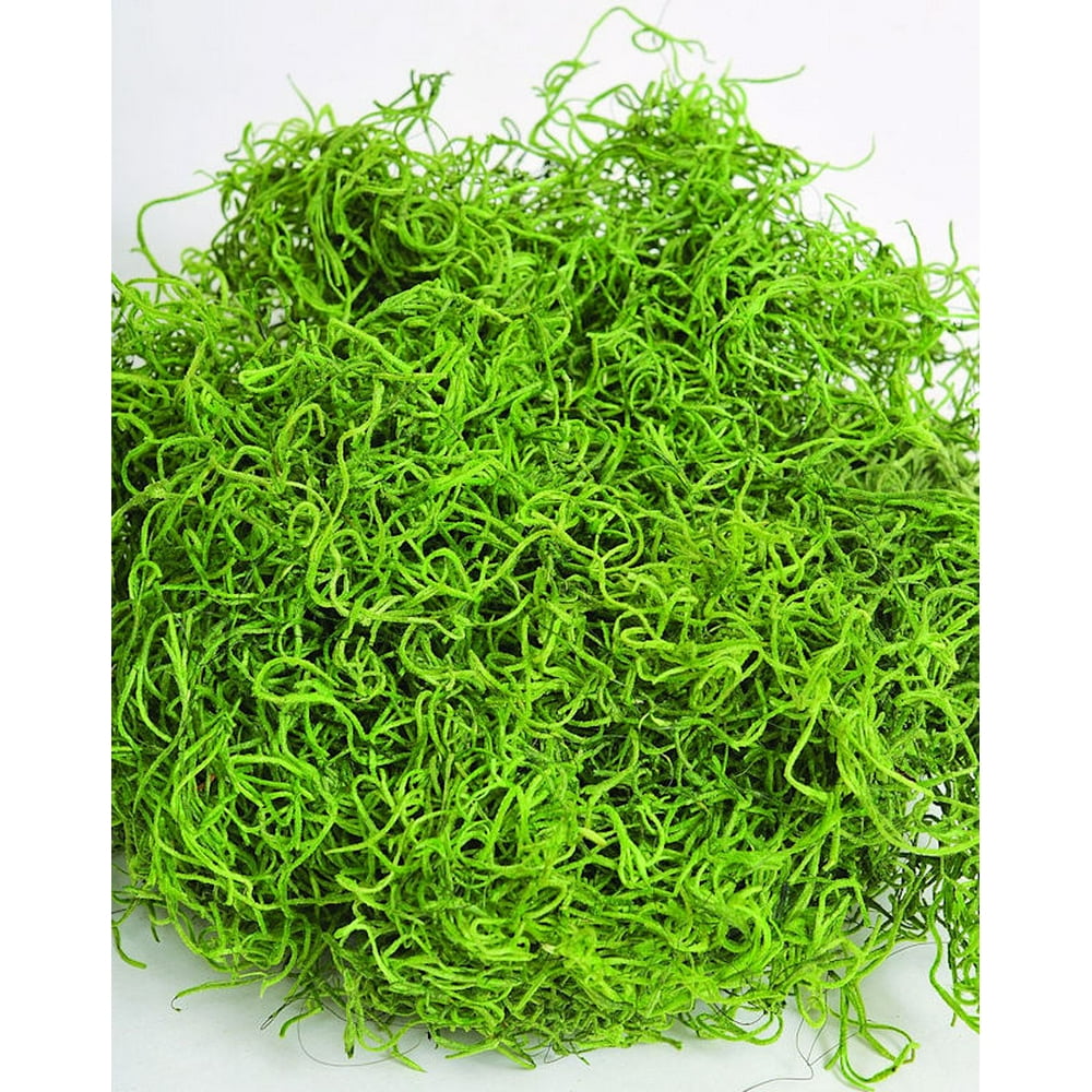 Dried Spanish Moss colors 3lb Bulk Light Green