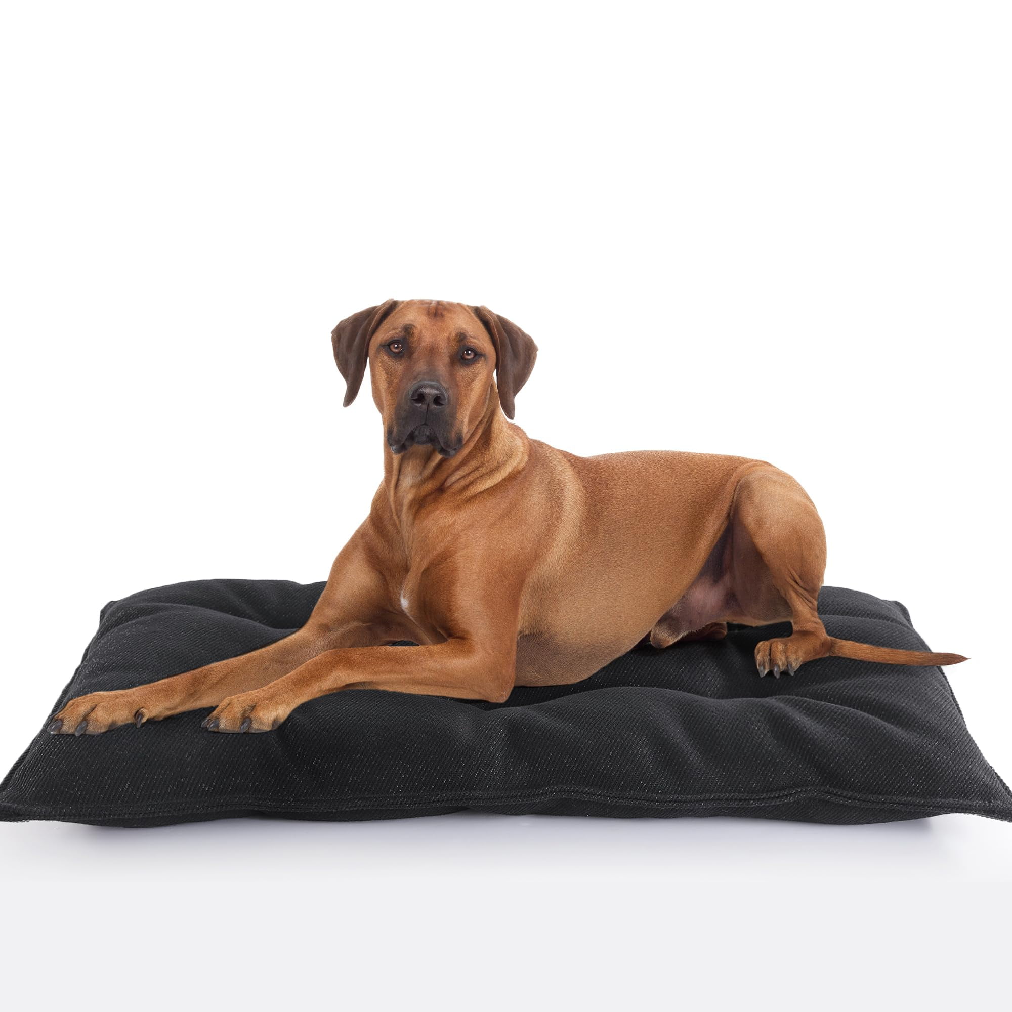 MABOZOO Dog Bed Indestructible Chew Proof Pet Bed Mat Durable Polyester Large 35x22 inches Black for Aggressive Chewers Crate Pad Machine Washable Walmart