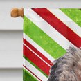 thumbnail image 3 of Carolines Treasures SC9613CHF Border Terrier Candy Cane Christmas Flag Canvas House Size, 3 of 4