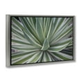 thumbnail image 4 of Stupell Industries Striped Plant Leaves Botanical & Floral Photography Gray Floater Framed Canvas Art Print Wall Art, 25 x 17, 4 of 10