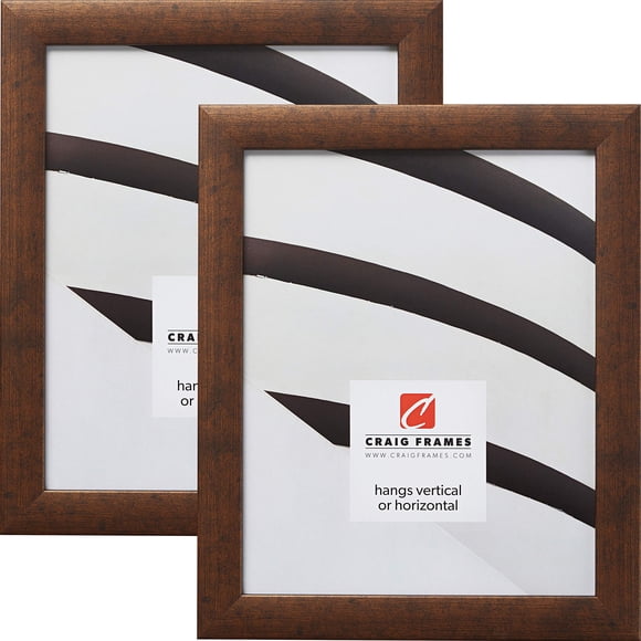 Craig Frames 23247881 10 x 13 Inch Picture Frame, Rustic Copper, Set of 2