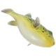 thumbnail image 5 of FELTECHELECTR Figura de juguete de pez globo realista, modelo de reconocimiento de pez globo, decoración de escritorio, 5 of 7