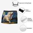 thumbnail image 4 of KLL Vintage Starry Sky Labrador Men's Cotton Boxer Briefs Underwear-XX-Large, 4 of 8