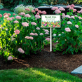 thumbnail image 3 of Eveokoki 8"x12" Aluminum Yard Sign "Do Not Trim No Podar As Plantas" Bilingual Plant Signs Bilingual Plant Sign in English and Spanish Yard Sign Sturdy, Rust Free, Weatherproof,Easy to Install, 3 of 6