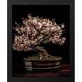 thumbnail image 2 of Maki 20x24 Black Modern Wood Framed Wall Art Titled - A Rare Desk Plant Iii, 2 of 6