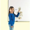 thumbnail image 3 of Double-sided Magnetic Human Body Set, 17 Pieces, 3 of 4