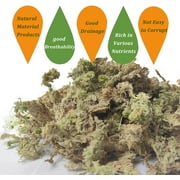 Sphagnum Moss for Plant Long Fiber Dried Forest Moss for Orchid Moss Potting Mix Natural Plant Moss for Carnivorous Plants Succulent Reptile (2.6 ounce)