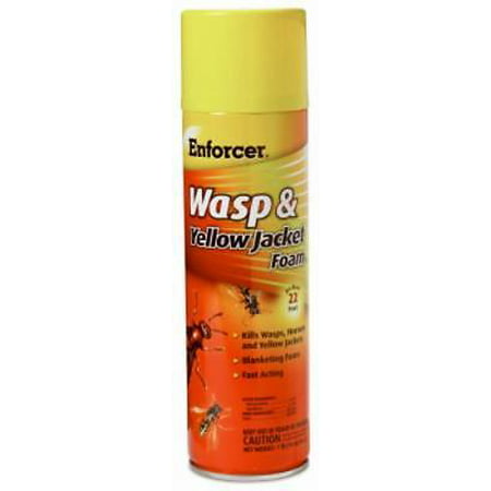 16 OZ Yellow Jacket & Wasp Foam Shoots 20' Kills Wasp (Best Way To Kill Warts)