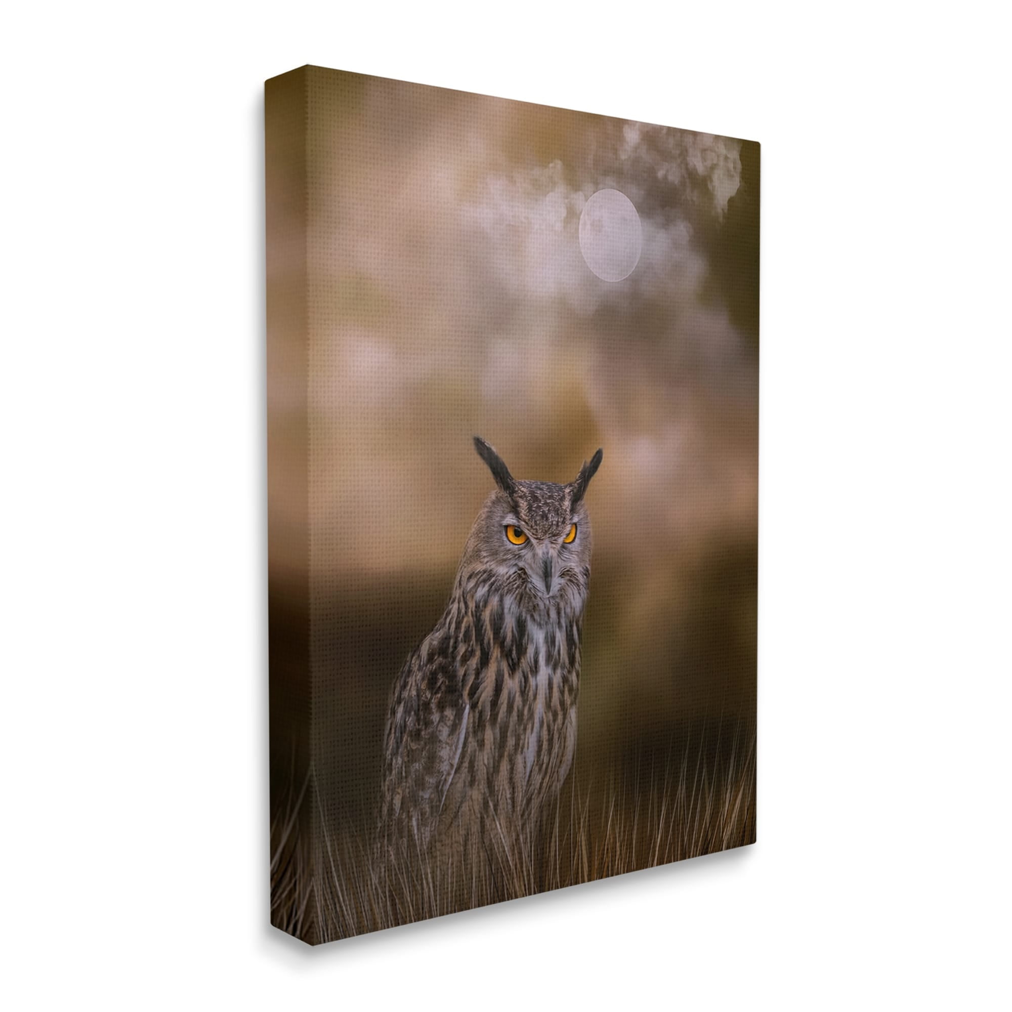 Stupell Nighttime Owl Moonlit Cloudy Sky Animals & Insects Photography Gallery Wrapped Canvas Print Wall Art