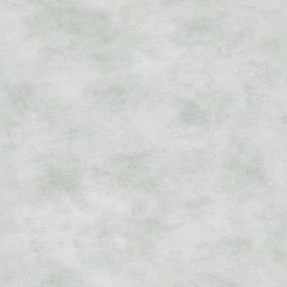 Shadow Play Fabric 513-WWK Silver Cloud Light Gray Tonal, Maywood Studio