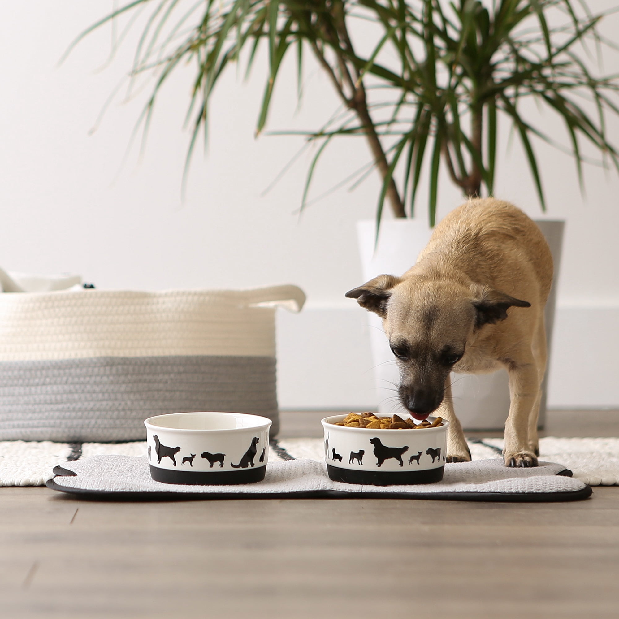 DII Pet Bowl Dog Show Small 4.25Dx2H (Set of 2)