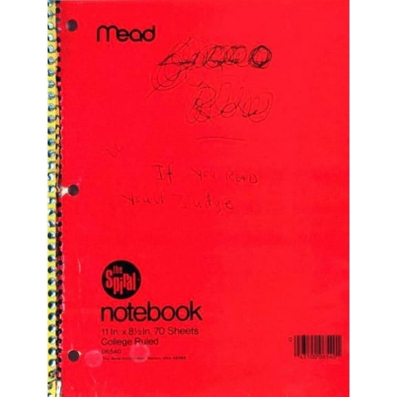 Kurt Cobain: Journals (Paperback)