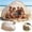 185X125X85cm, variant on Pop Up Beach Tent Instant Sun Shelter Portable Outdoor Canopy for Sun Protection Lightweight Easy Setup for Beach Park Camping Travel 78.7*47.2*39.4 Inches