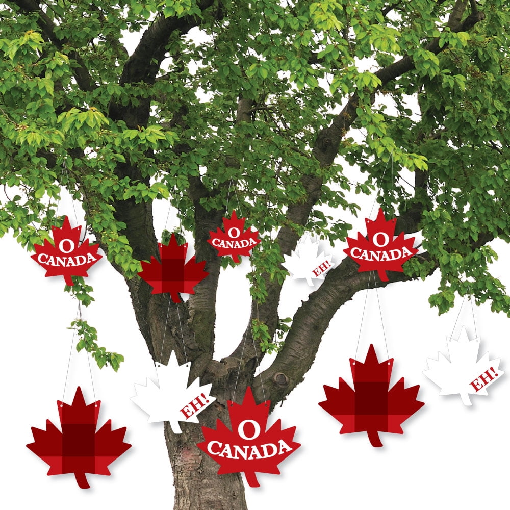 Big Dot of Happiness Hanging Canada Day Outdoor Hanging Decor