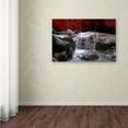 thumbnail image 3 of Trademark Fine Art "Red Vison" Canvas Art by Philippe Sainte-Laudy, 12" x 19", 3 of 3
