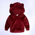 thumbnail image 6 of Zwiiyzr Toddler Boys Girls 2 PCS Pleuche Hooded Sweatshirt Baby Clothes Kids Sweater Pants Coat Set Burgundy, 6 of 9