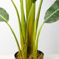 thumbnail image 3 of Artificial Potted Traveler's Tree - Avy, 3 of 6