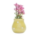 thumbnail image 4 of Aqestyerly Mini Magnetic Ceramic Vase for Fridge Decor, Succulent Plant Holder with 3D Side Magnet Design, 4 of 4