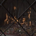 thumbnail image 3 of Fire Screens, 3 of 9