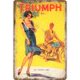 thumbnail image 1 of Vintage Triumph Retro placa de Metal cartel de estaño placa cartel decoración del hogar pintura de hierro Tmvgtek Para estrenar, 1 of 8