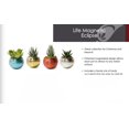 thumbnail image 3 of Magnetized Life Eclipse Planter with Live Plant - Turquoise-Live Trends, 3 of 4