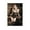 Unframe-style, variant on American Film Actresses Amanda Seyfried Sexy Hot Poster Wall Art Poster Scroll Canvas Painting Picture Living Room Decor Home 16x24inch(40x60cm)
