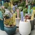 thumbnail image 6 of Mr. Pen- Plastic Plant Labels, 100 Pcs, 4“, Pastel Colors Plant Markers, Plant Tags, Garden Labels, Garden Markers, Plant Labels for Outdoor Garden Waterproof, Planting Sticks for Seeds, 6 of 7