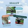thumbnail image 6 of Bird Buddy Solar Powered Bird Feeder with Camera & AI Species Detection - Blue Solar, 6 of 9