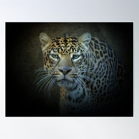 Leopard Poster Wall Art, Modern Wall Decor For Living Room Bedroom, 8x12 UNFRAMED