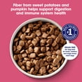 thumbnail image 4 of Nature's Recipe Grain Free Salmon, Sweet Potato & Pumpkin Dry Dog Food, 24 lb Bag, 4 of 11