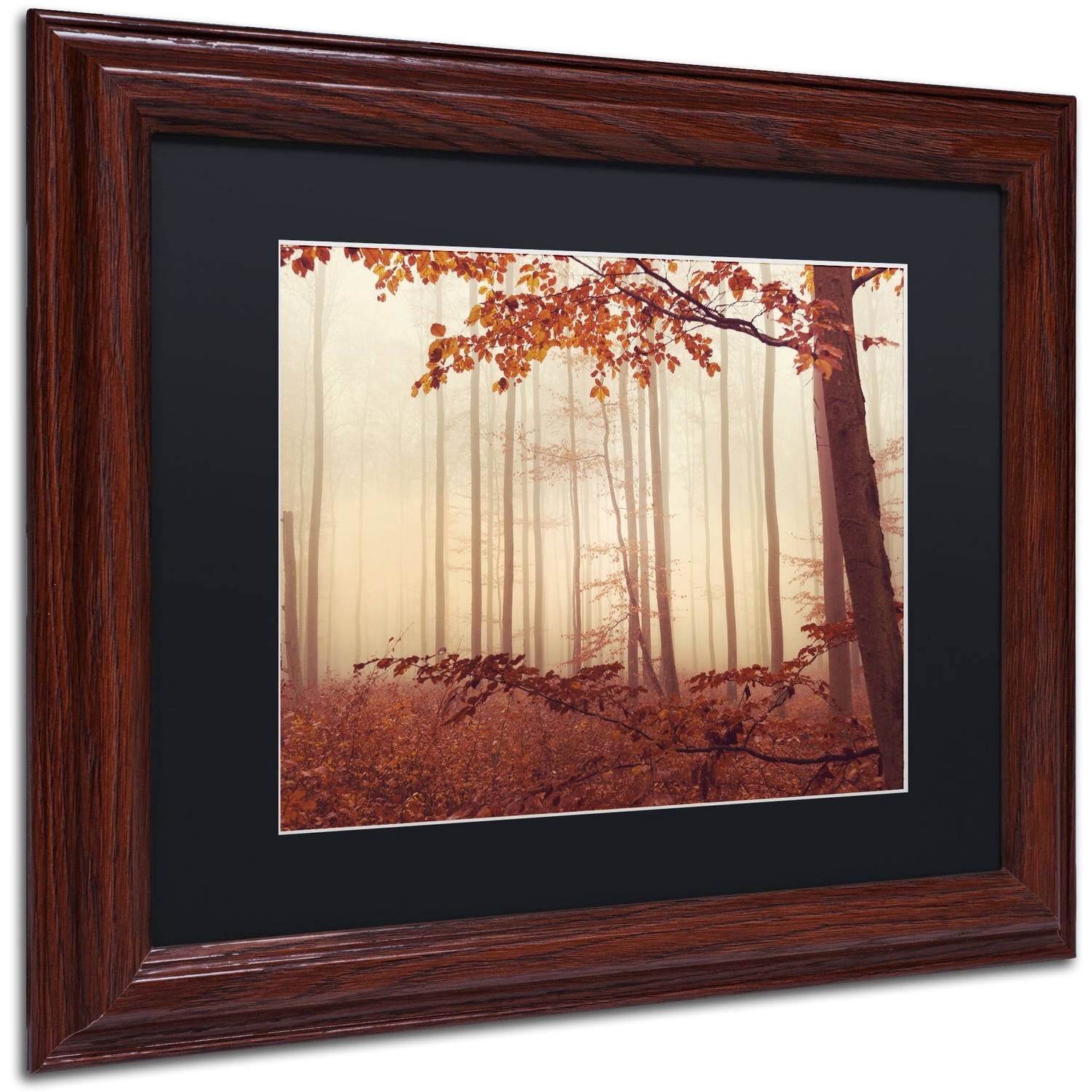 Trademark Fine Art "The Last of Fall" Canvas Art by Philippe Sainte-Laudy Black Matte, Wood Frame