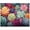 Succulent, variant on TISHIRON Paint by Numbers for Adults,16x20 inch Canvas Wall Art Flowers Black Girl Artwork Oil Painting by Numbers Kit for Beginner (Frameless)