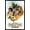 Black Framed Version, variant on Star Wars: Skeleton Crew - Crew Wall Poster, 22.375" x 34"