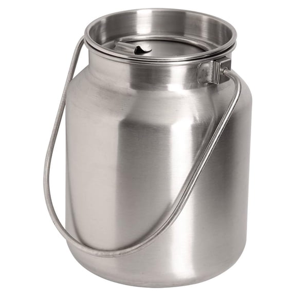 Stainless Steel Seamless 1-Gallon Milk Jug, Milk Can, Milk Pail, Anti-Leak Liquid Storage Container with Tight Lid and Long Swivel Handle 128 Ounces Silver