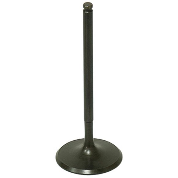 Bronco Intake Valve